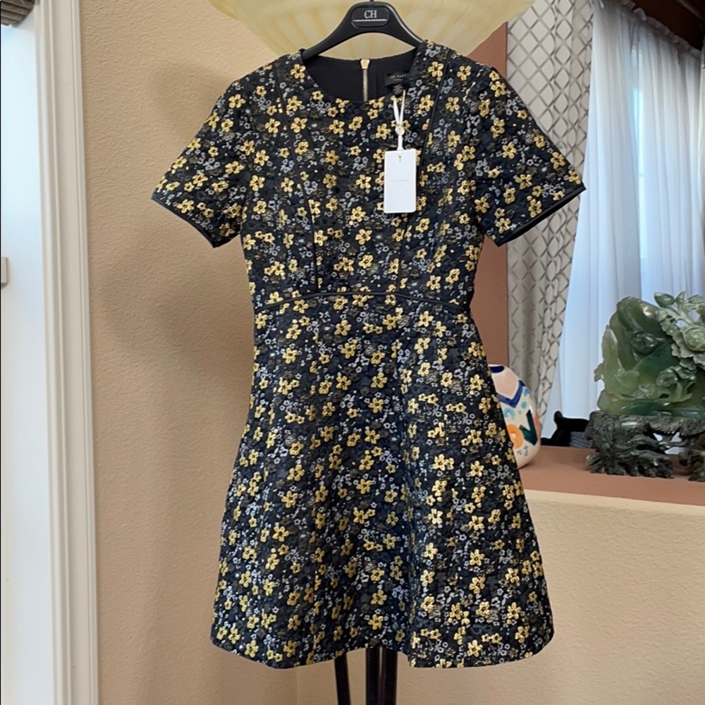 Beautiful brand new Ted Baker dress